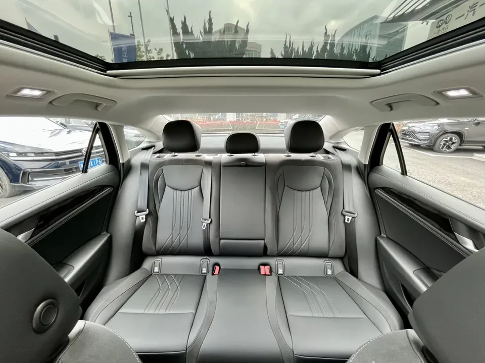Volkswagen Magotan 300TSI Premium Edition 2025 — миниатюра 4