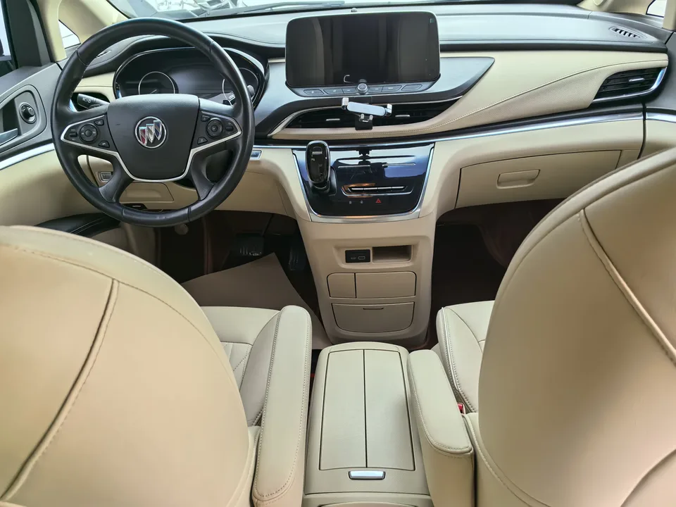 Buick GL8 Land Business Class 2.0T Luxury Edition 2023 — миниатюра 3