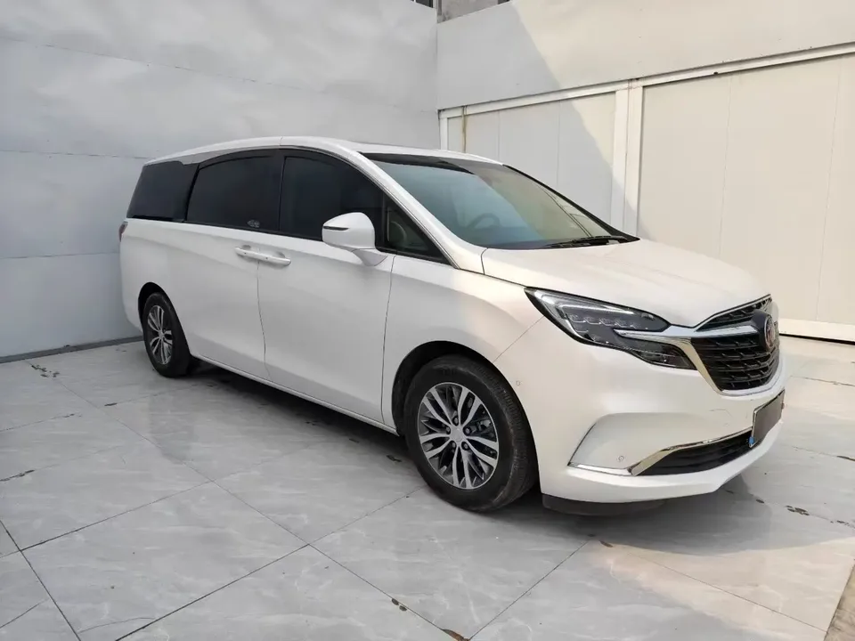 Buick GL8 Buick GL8 2022 ES Lu Zun 653T Exclusive model 2022 — миниатюра 3