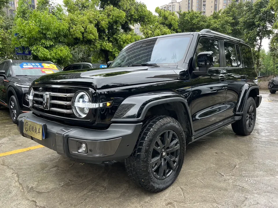 Tank 300 300 2023 Tank 300 2023 City Edition 2.0T Very Stylish 2023 — photo 1, buy with delivery to Moscow