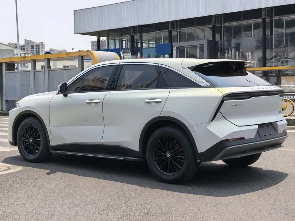 Kai Chen Venucia Big V 260T Dark Horse EditionKing of Heaven 2022 — миниатюра 4