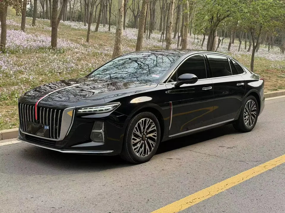 Hongqi H5 2024