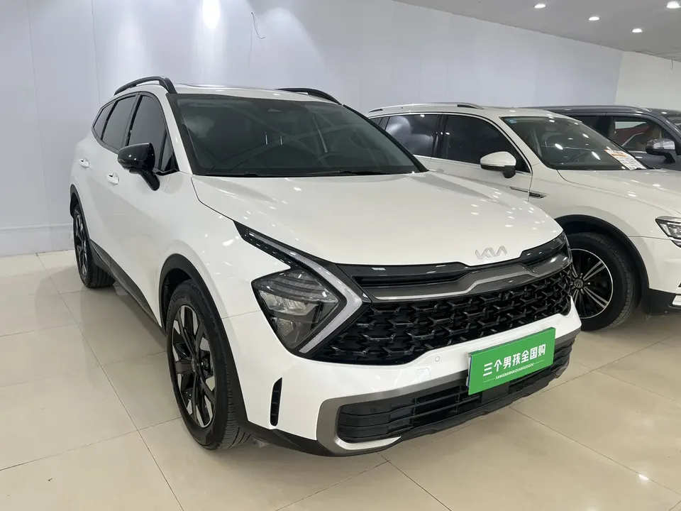 Kia Lion Platinum Expands the Boundary 2023