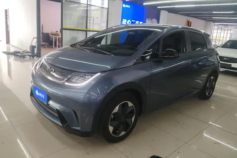 BYD Dolphin 2025 buy in Moscow