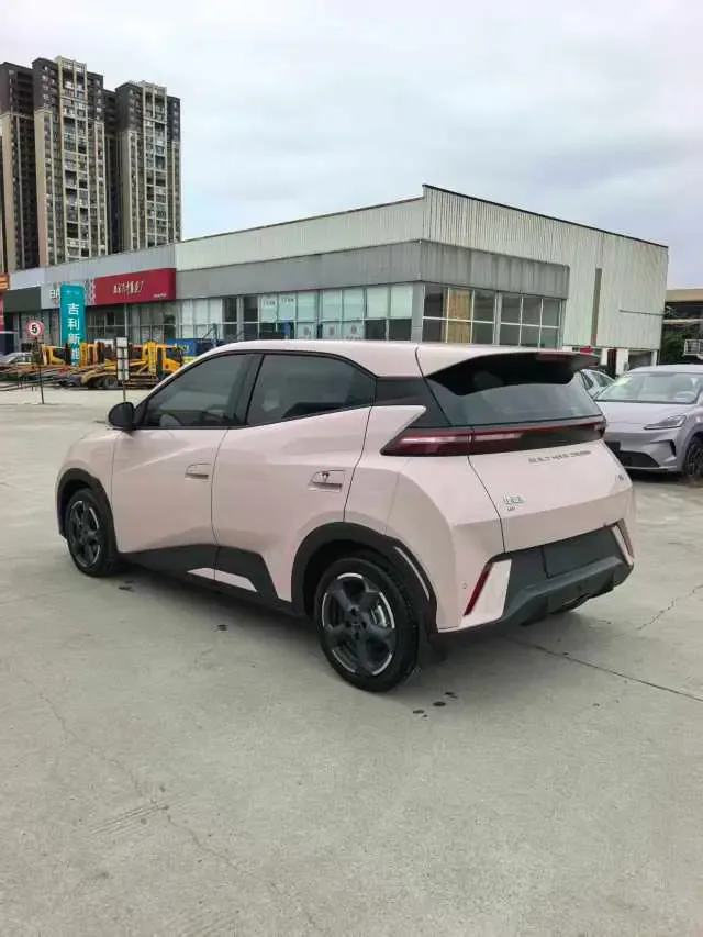 BYD Seagull Seagull 2024 Honor Edition 305KM Vitality Edition 2024 — thumbnail 4