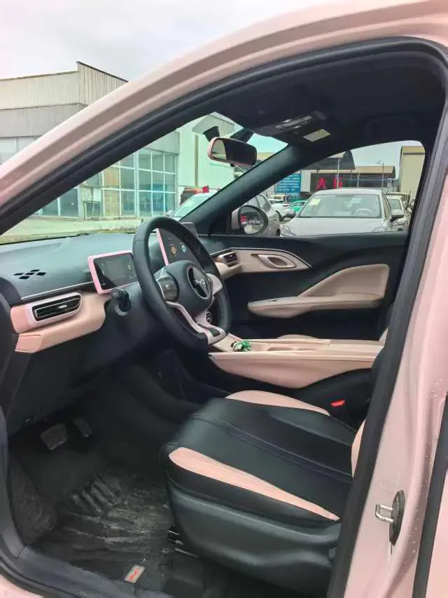 BYD Seagull Seagull 2024 Honor Edition 305KM Vitality Edition 2024 — thumbnail 5