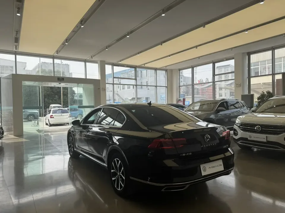 Volkswagen Magotan 330TSI DSG 30th Anniversary Edition 2022 — миниатюра 4