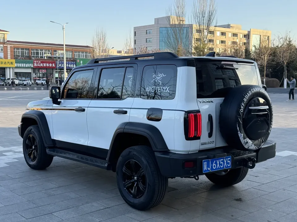 Tank 300 300 2023 Tank 300 2023 off-road version 2.0T Conqueror 2023 — thumbnail 4