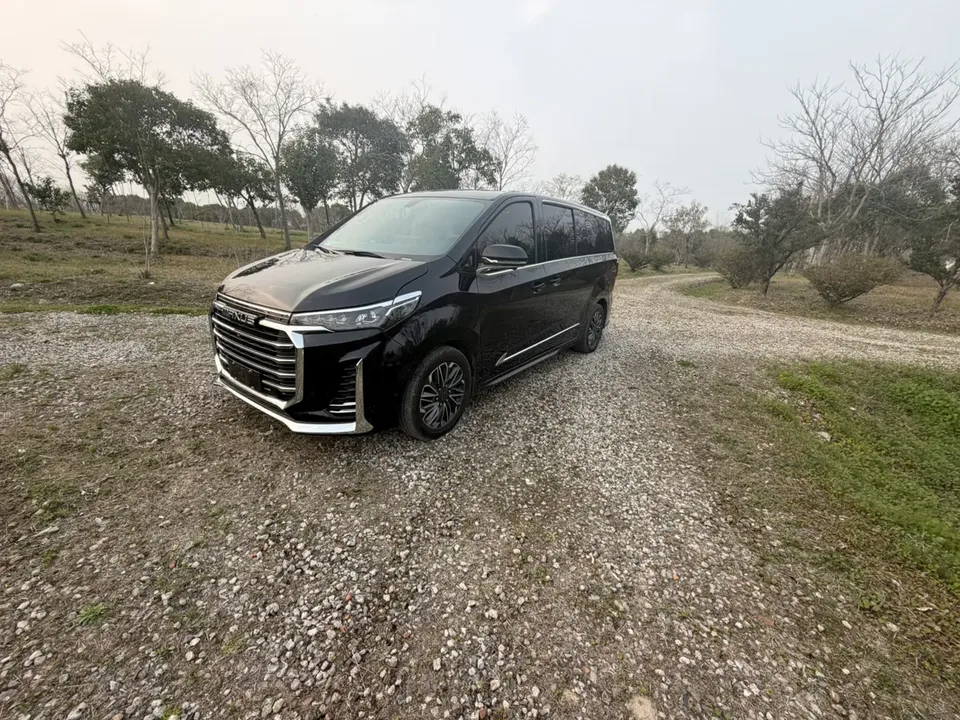 Datong Maxus G20 2022