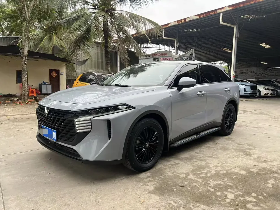 Kai Chen Venucia Big V 2022