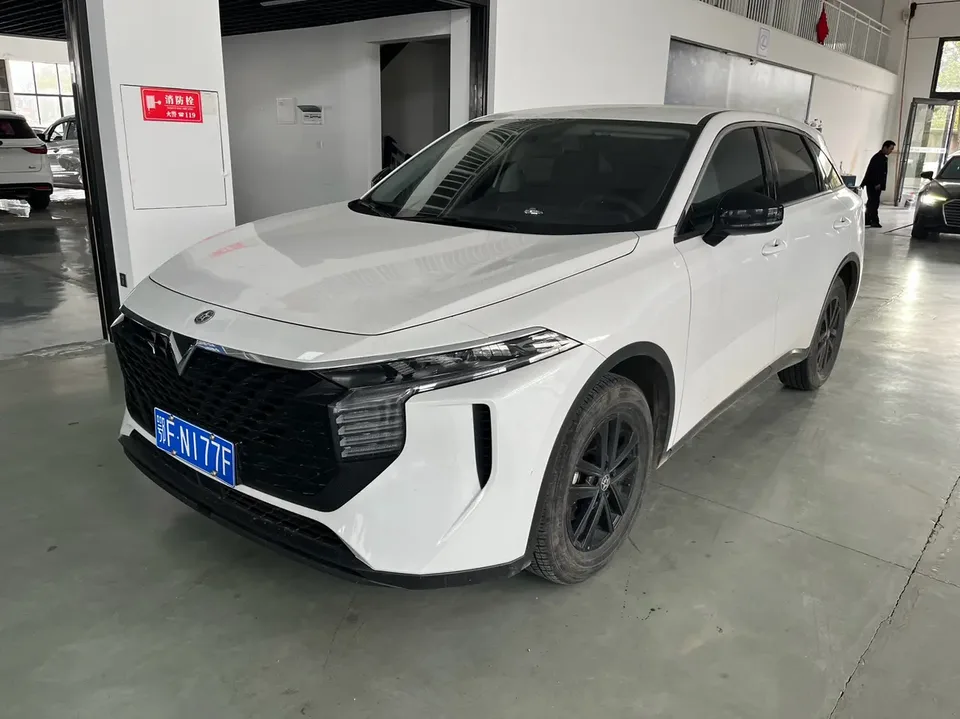 Kai Chen Venucia Big V Venucia Big V 2024 Venucia V 2024 260T Rising Star Edition Pro 2024 — photo 1, buy with delivery to Moscow