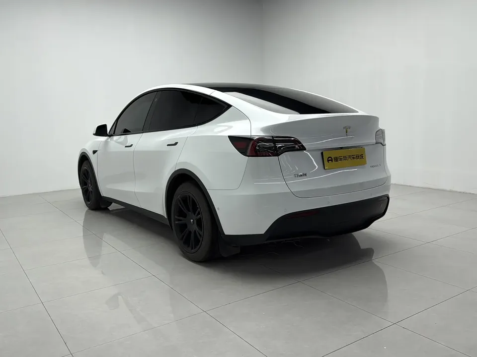 Tesla Model Y rear-wheel drive version 2023 — миниатюра 2