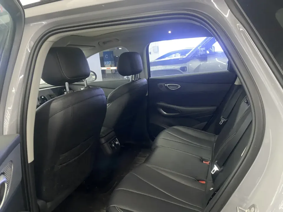BYD Sea Lion 05 EV 520KM Intelligent Navigation Edition 2025 — миниатюра 5