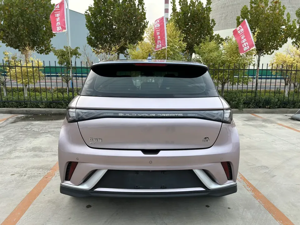 BYD Dolphin Dolphin 2021 Cavalier Edition 2022 — thumbnail 2