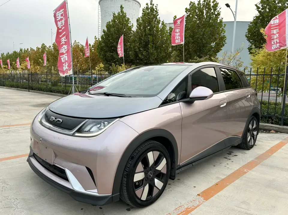 BYD Dolphin Dolphin 2021 Cavalier Edition 2022 — photo 1, buy with delivery to Moscow