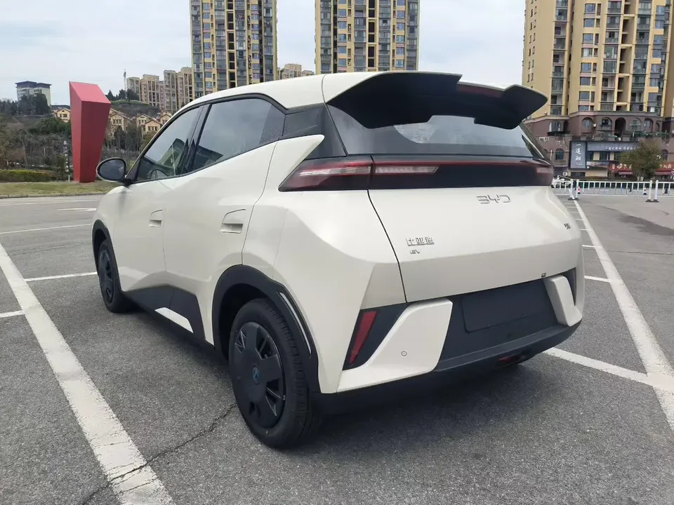 BYD Seagull Seagull 2025 Intelligent Driving Edition 305KM Vitality Edition 2026 — thumbnail 4