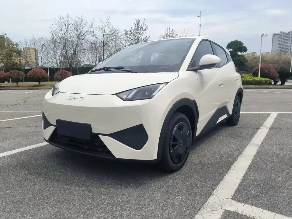 BYD Seagull Seagull 2025 Intelligent Driving Edition 305KM Vitality Edition 2026 — photo 1, buy with delivery to Moscow