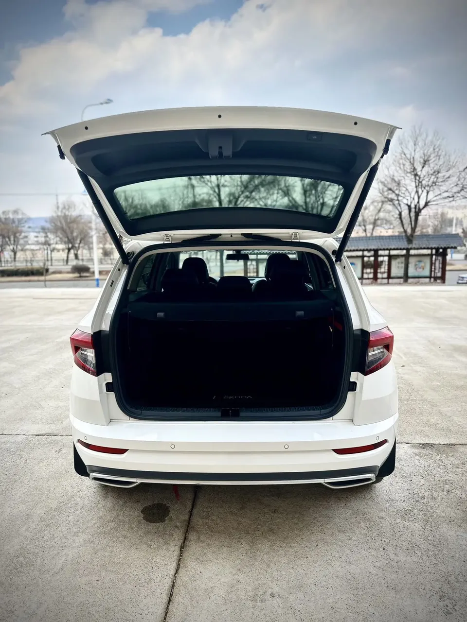 Skoda Karoq TSI280 Luxury Edition 2022 — миниатюра 5