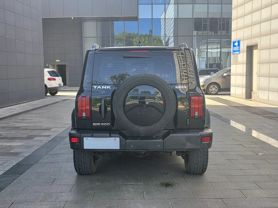Tank 300 Tank 300 2023 Off-road version 2.0T Conqueror 2023 — photo 1, buy with delivery to Moscow