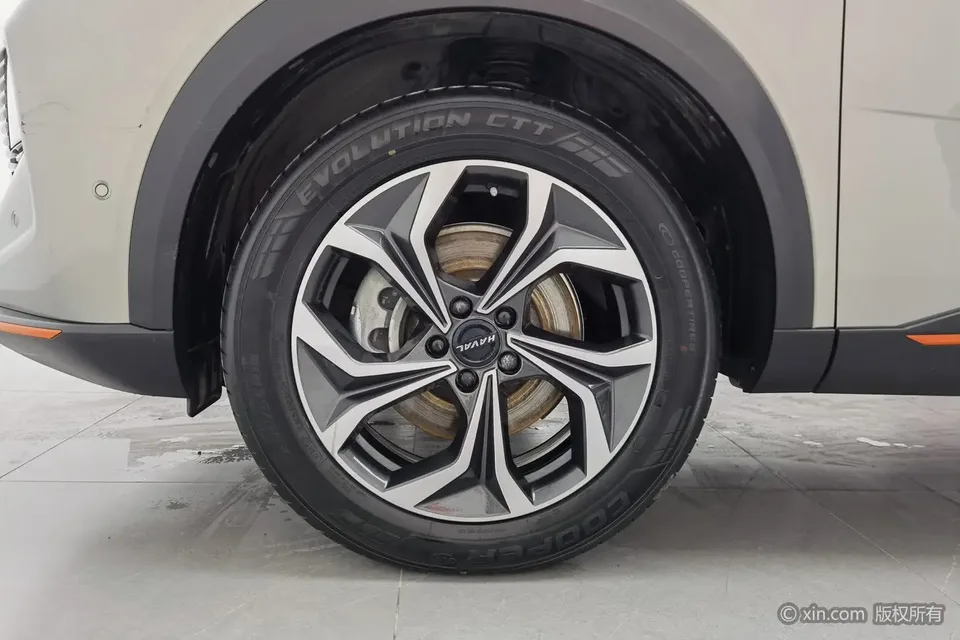 Haval Beast 2.0T Zhizun four-wheel drive version 2022 — миниатюра 2