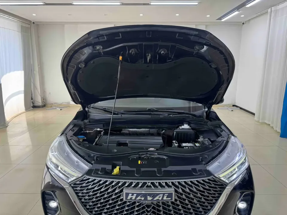 Haval M6 PLUS 1.5T DCT Luxury Smart Connected Edition 2023 — миниатюра 2