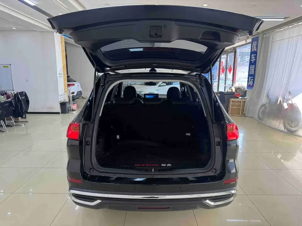 Haval M6 PLUS 1.5T DCT Luxury Smart Connected Edition 2023 — миниатюра 5