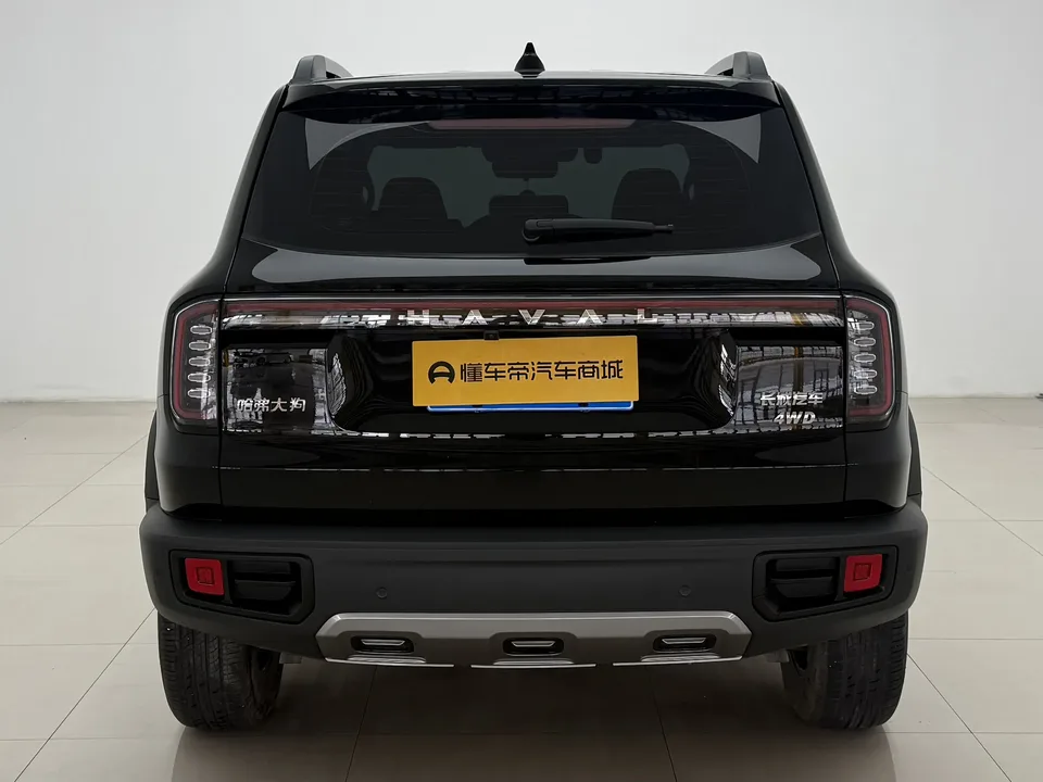 Haval Dargo Haval Big Dog 2024 2.0T four-wheel drive Chinese pastoral dog version 2024 — миниатюра 2