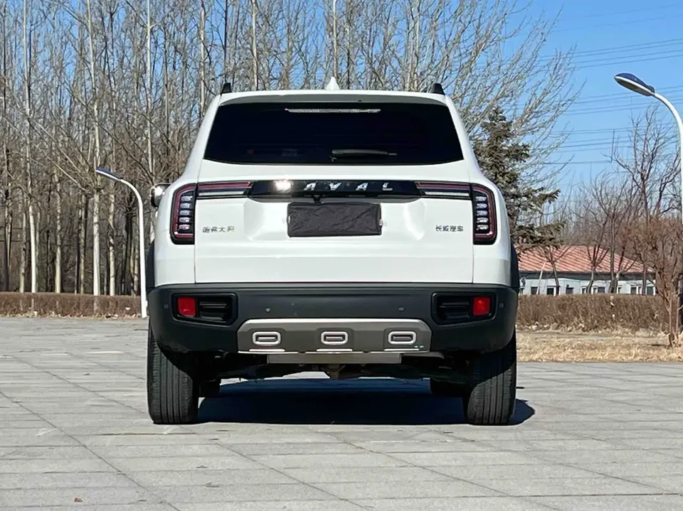 Haval Dargo 1.5T 2WD Border Collie Edition 2023 — миниатюра 2