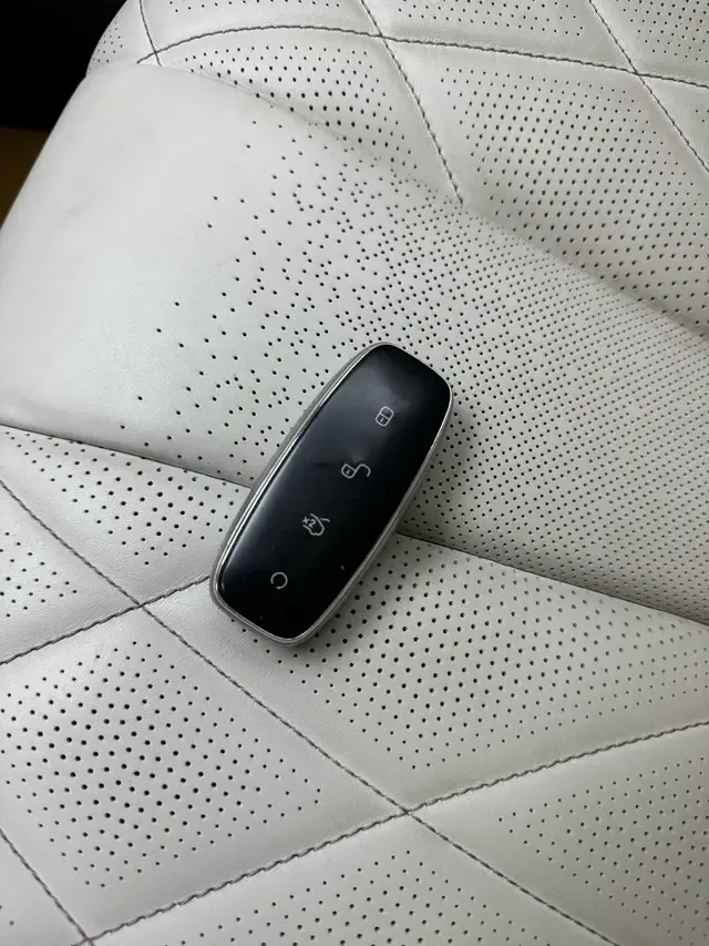Denza D9 DM D9 DM 2022 970 4WD Flagship 2023 — thumbnail 3