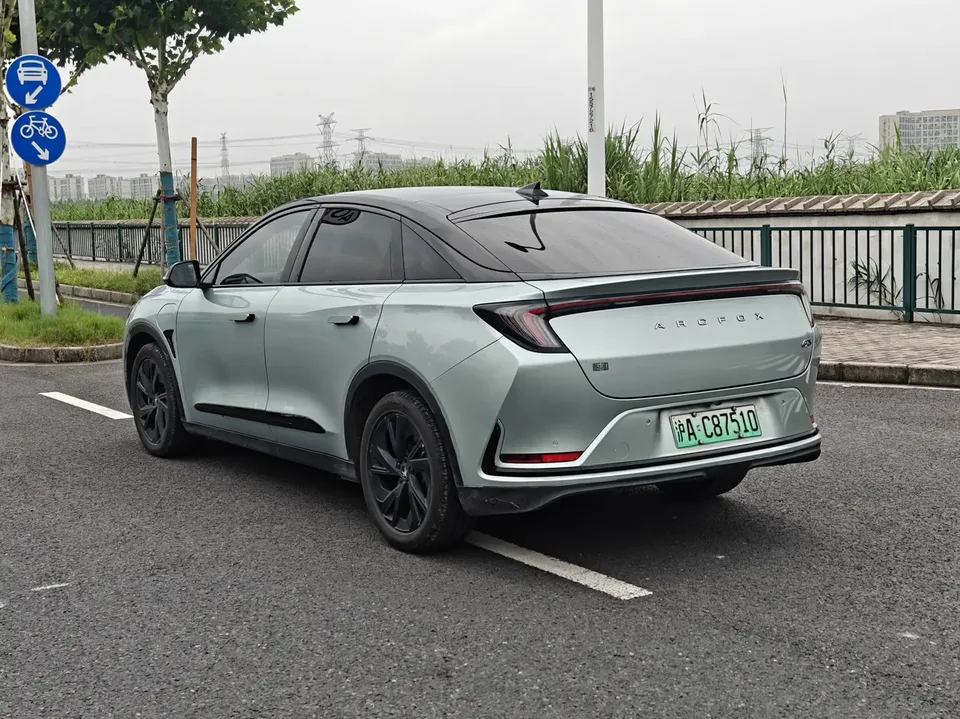 ARCFOX Extreme Fox Polar Fox Alpha S Forest Edition 525 175kW 2023 — миниатюра 4