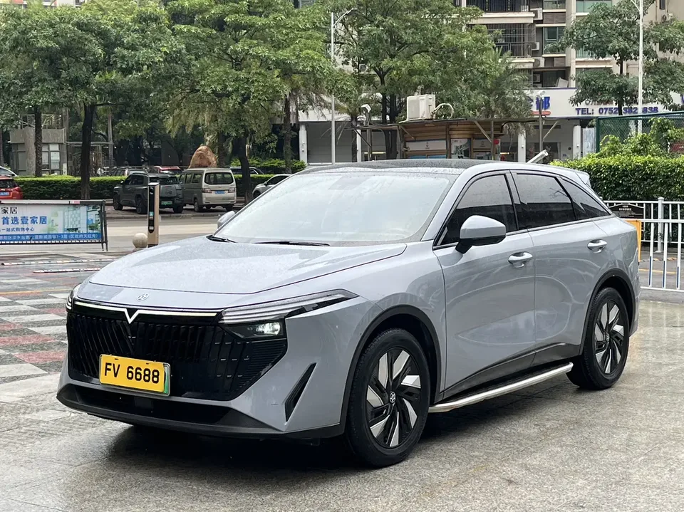 Kai Chen Qichen Big V DD-i 2023