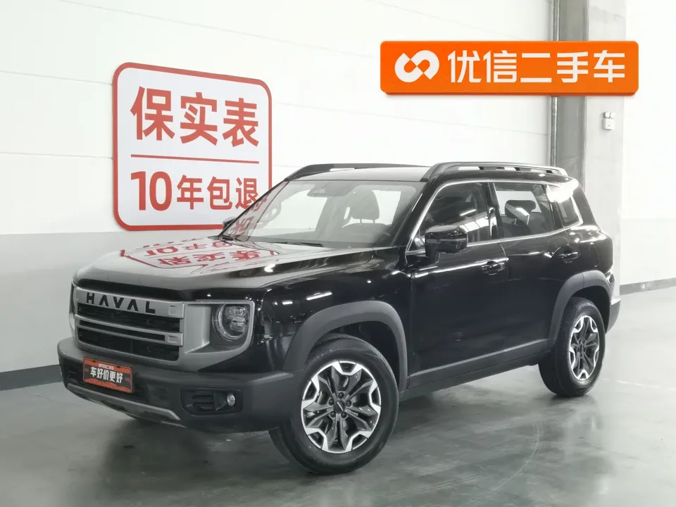 Haval Dargo Haval Big Dog 2024 2.0T four-wheel drive Chinese pastoral dog version 2024 — фото 1, купить с доставкой в Москву