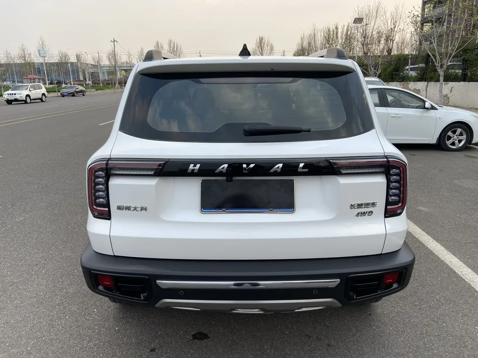 Haval Dargo 2.0T four-wheel drive Chinese pastoral dog version 2022 — миниатюра 2