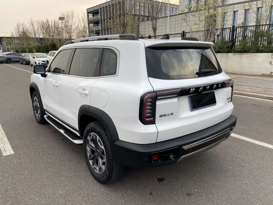 Haval Dargo 2.0T four-wheel drive Chinese pastoral dog version 2022 — миниатюра 4