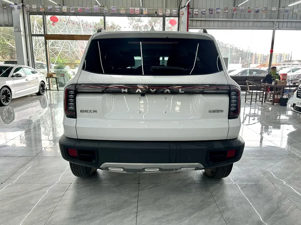 Haval Dargo Haval Big Dog 2024 1.5T 2WD Border Collie Edition 2024 — миниатюра 2