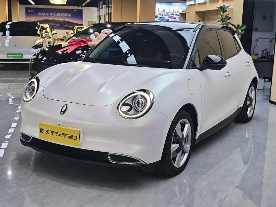 ORA Euler good cat Euler good cat 2023 401km standard range premium lithium iron phosphate 2023 — photo 1, buy with delivery to Moscow