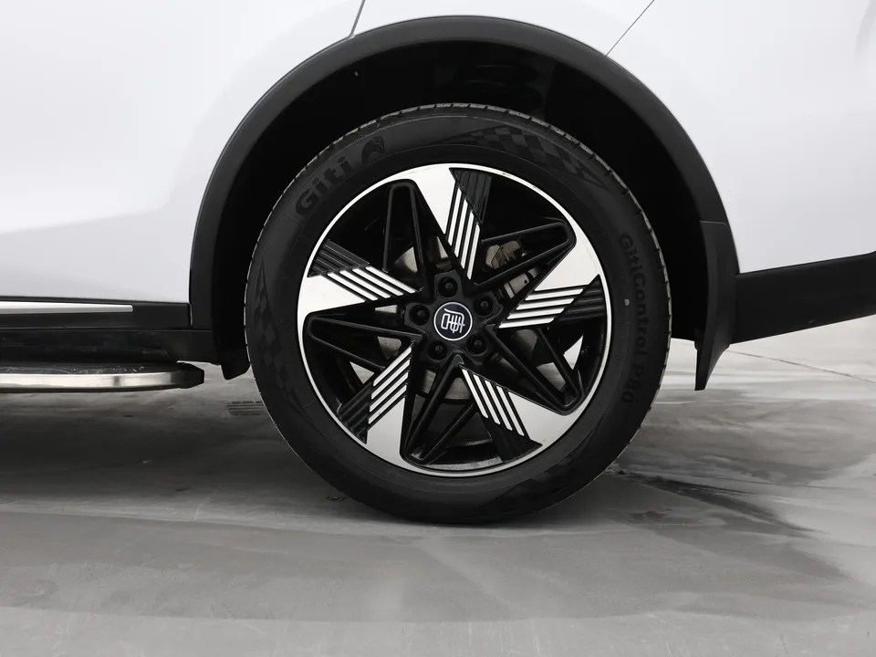 BYD Tang DM Tang DM 2023 DM-i Champion Edition 112KM Premium 2023 — photo 1, buy with delivery to Moscow