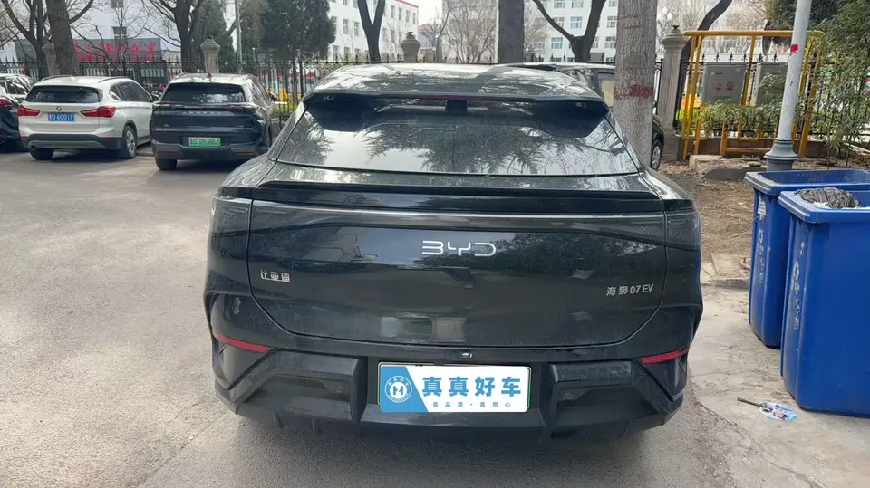 BYD Sea Lion 07 EV 550 Standard Edition 2025 — миниатюра 2