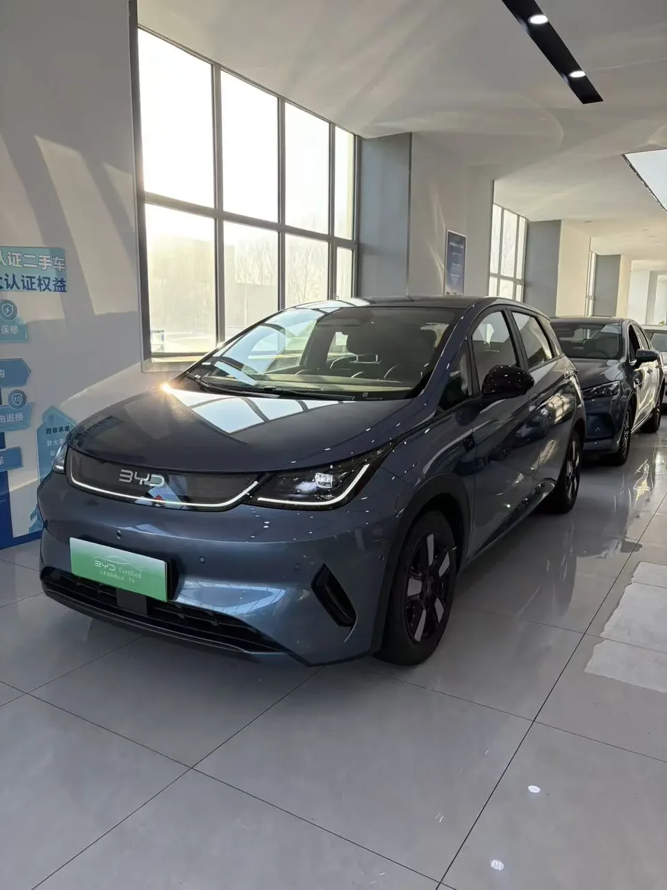 BYD Dolphin 2025