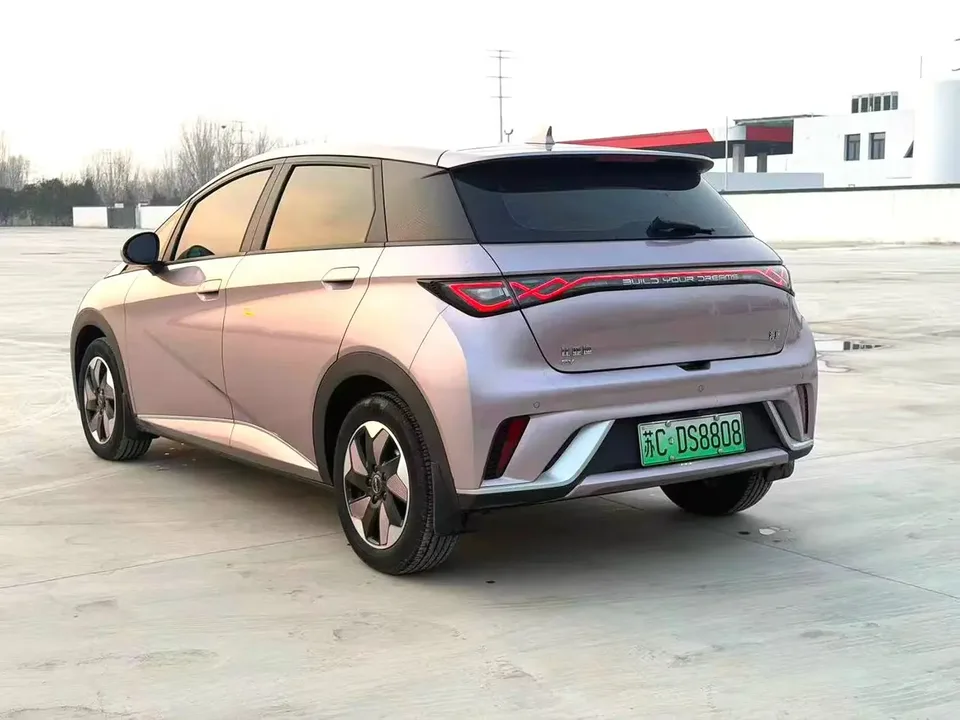 BYD Dolphin Dolphin 2025 420KM Freedom Edition 2024 — миниатюра 3