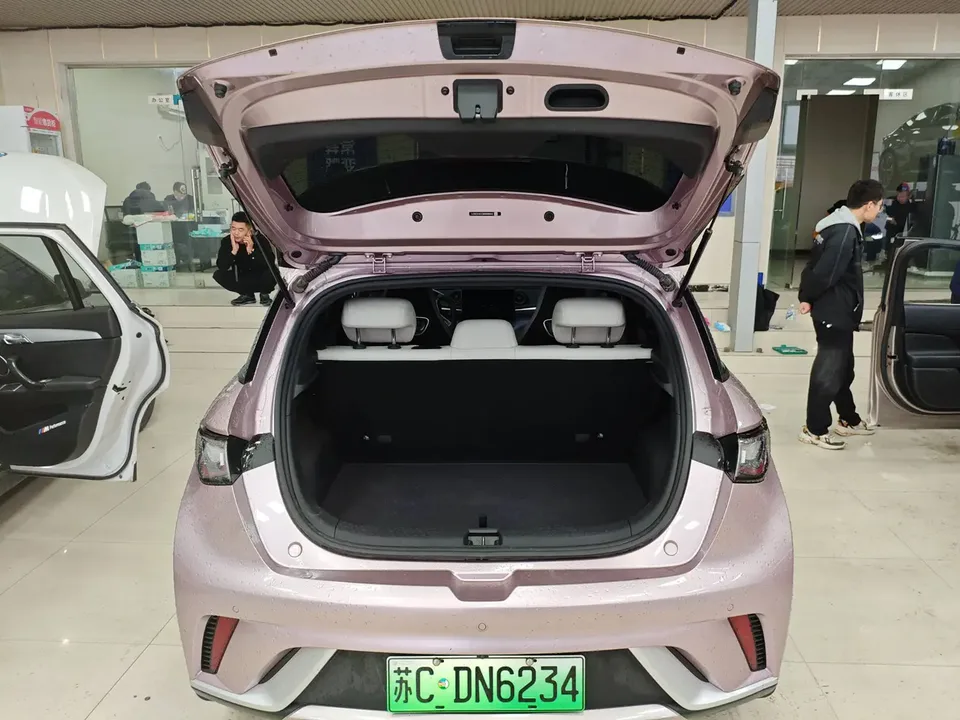 BYD Dolphin Dolphin 2025 420KM Freedom Edition 2024 — миниатюра 4