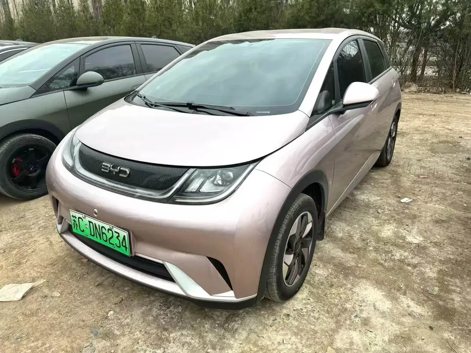 BYD Dolphin 2024