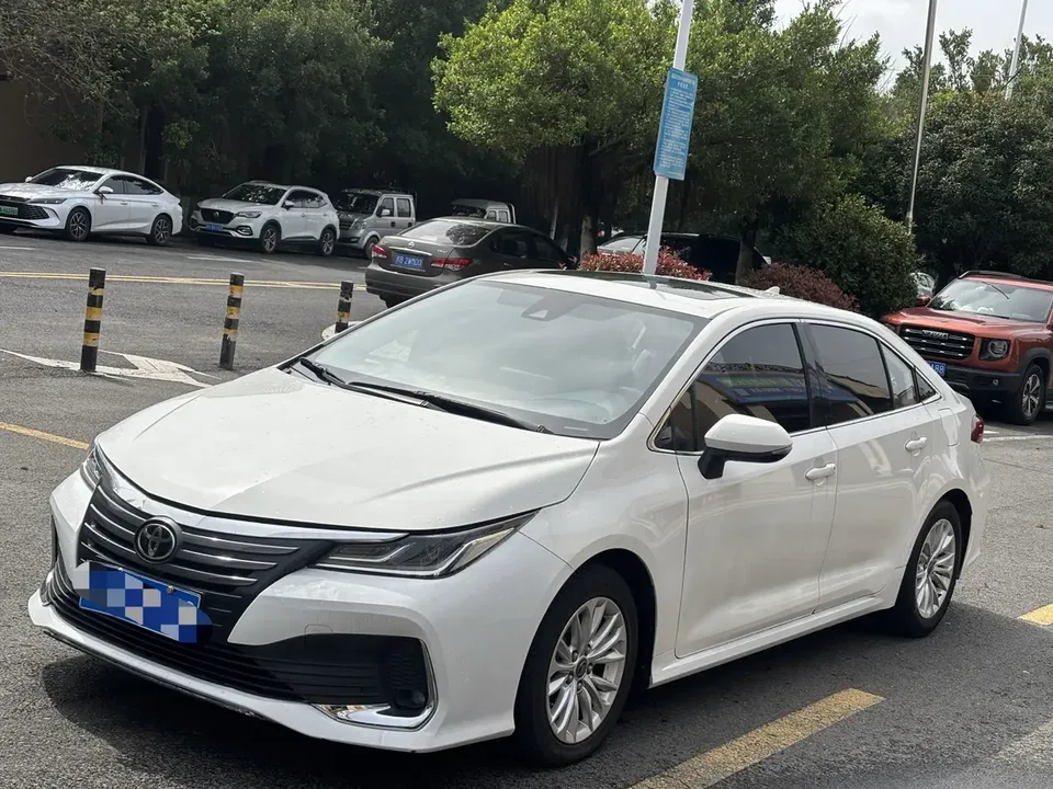 Toyota Asiatic lion 2023