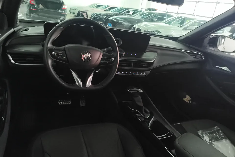 Buick Valeant Valeant 2023 Pro GS Hunting Edition 2024 — миниатюра 3