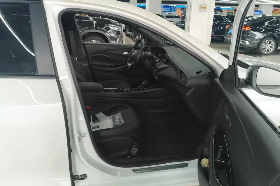 Buick Valeant Valeant 2023 Pro GS Hunting Edition 2024 — миниатюра 5