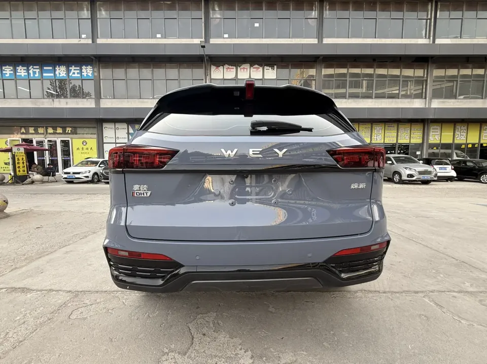 WEY Latte DHT Latte DHT 2022 1.5T DHT extra large cup 2022 — миниатюра 2