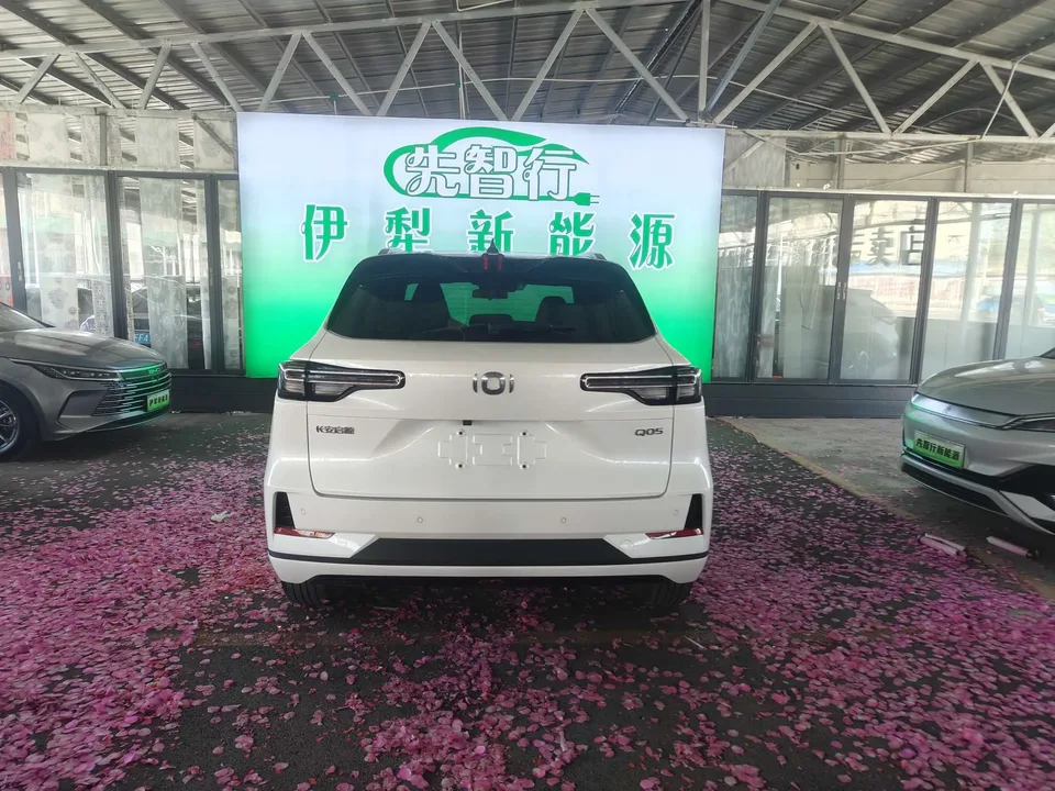 Changan Qiyuan Q05 Classic Edition 125 Excellent CATL 2024 — миниатюра 2
