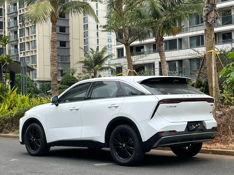 Kai Chen Venucia Big V 260T Dark Horse EditionIdol 2023 — миниатюра 4