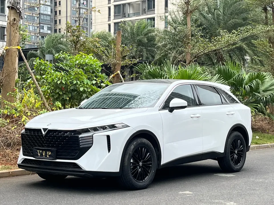 Kai Chen Venucia Big V 2023