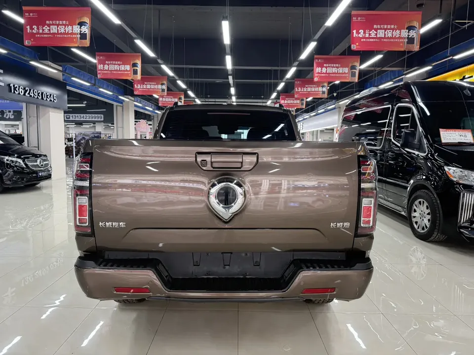 Great Wall gun passenger version 2.0T gasoline automatic four-wheel drive exclusive model GW4C20B 2023 — миниатюра 2